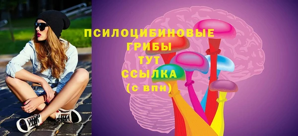 прущая мука Гусиноозёрск