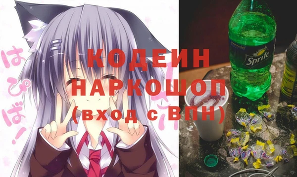 таблы Гусев