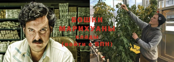 таблы Гусев