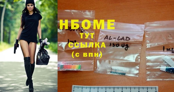 таблы Гусев