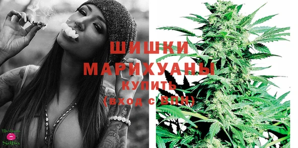 таблы Гусев