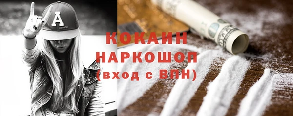 таблы Гусев